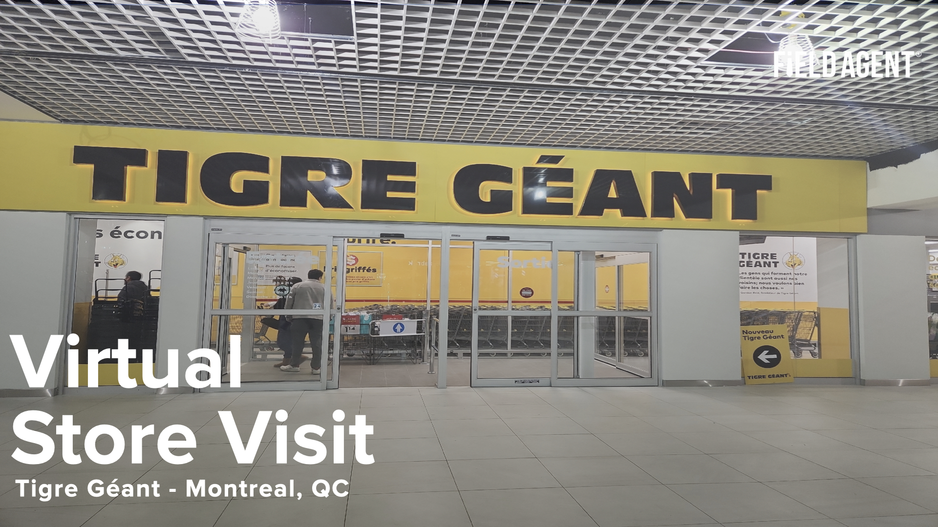 Giant Tiger, or Tigre Géant as It Is Known in Quebec, Set To Open New  Outlet in Montreal